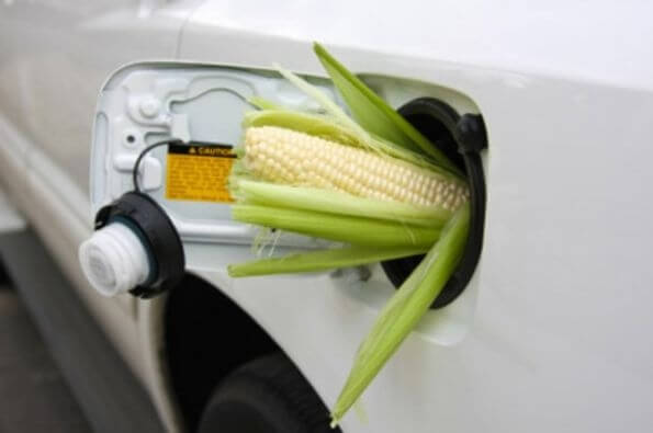 Биотопливо вредит окружающей среде!